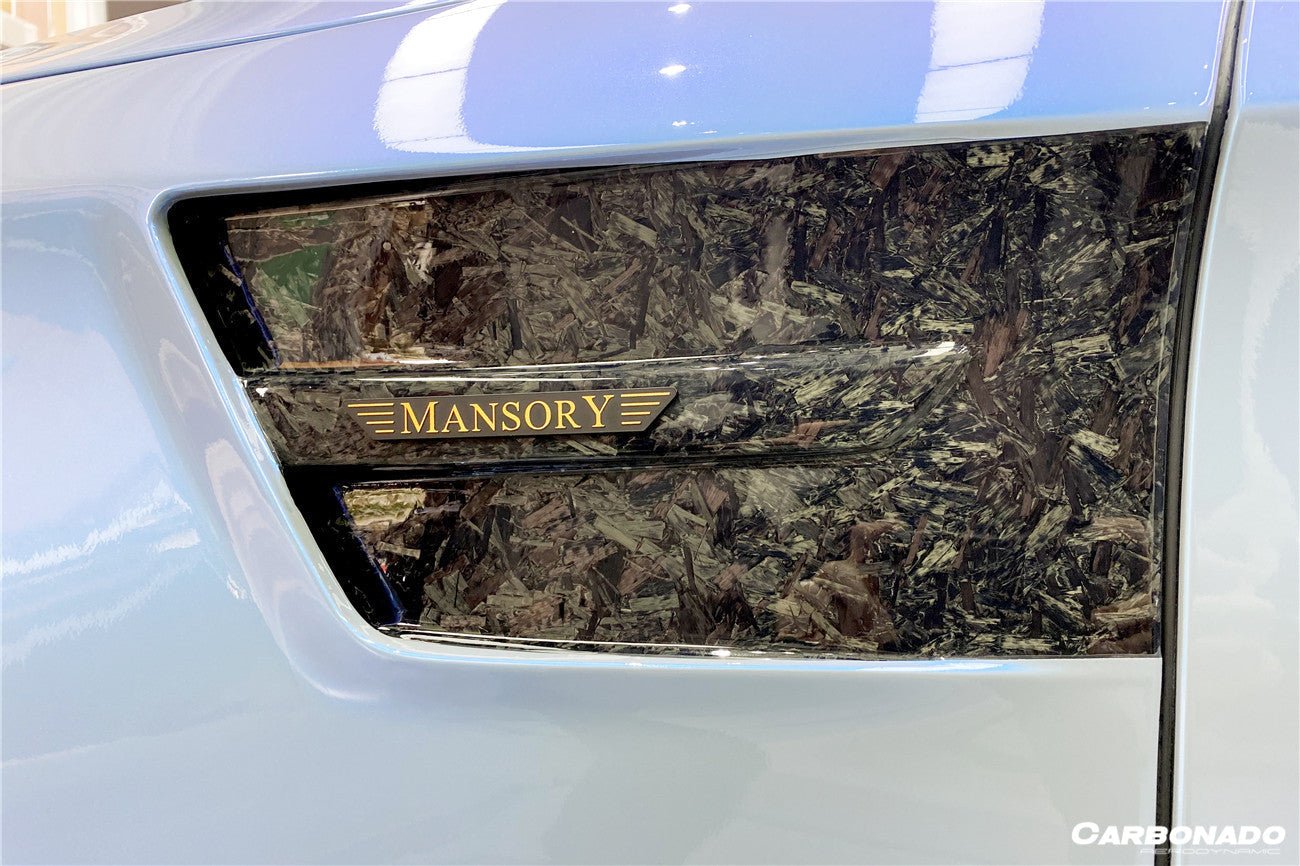 2017 - 2020 Mercedes Benz S63 W222 Sedan MSY Style Fender